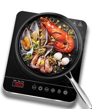 plaque de cuisson à induction